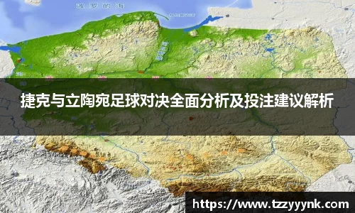 捷克与立陶宛足球对决全面分析及投注建议解析